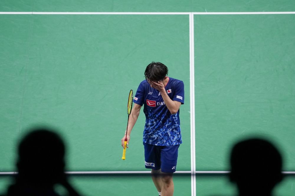 麟飞的上调 麟飞的上调