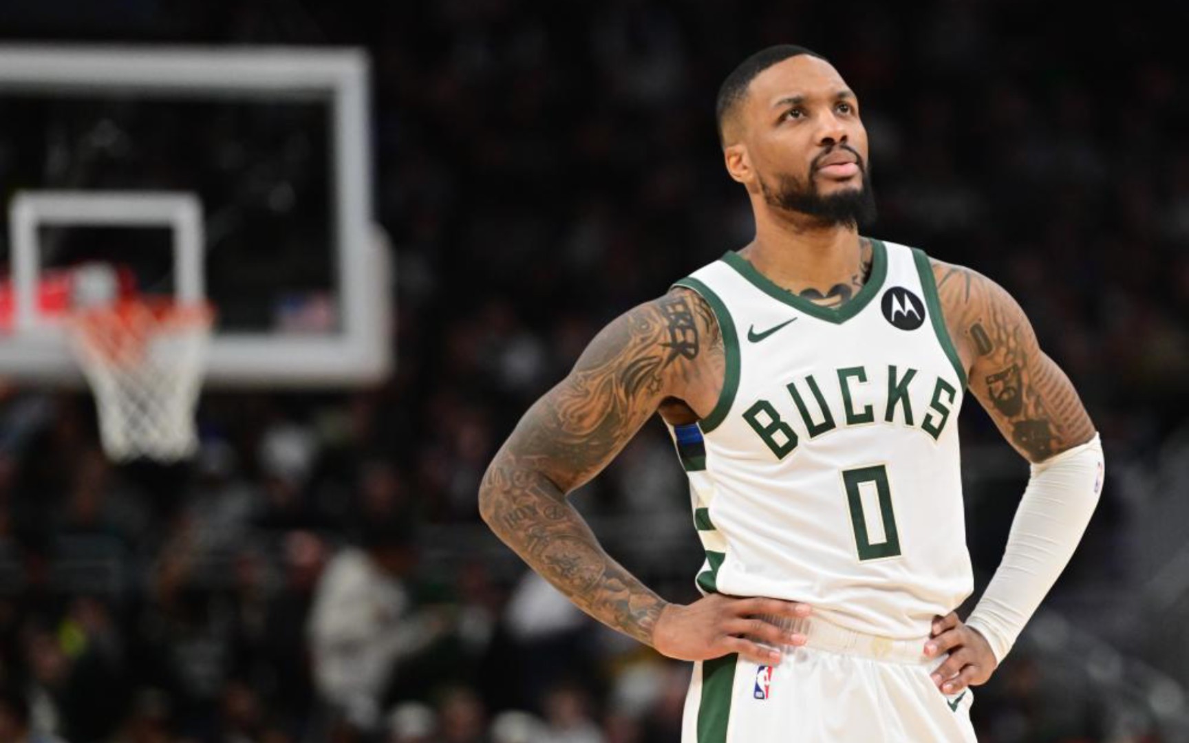 开年最疯狂 开年最疯狂