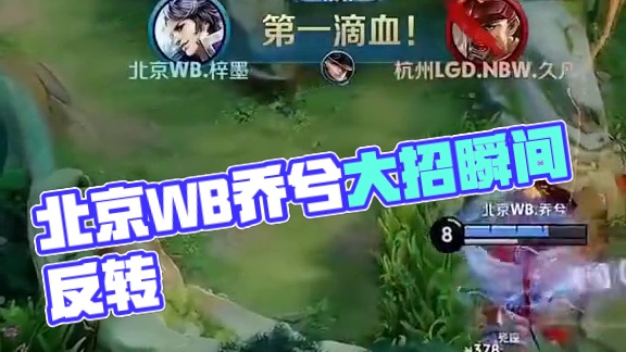 保护与反击 保护与反击