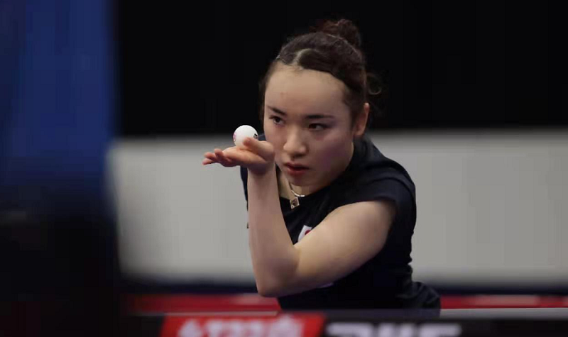 正呼应了马 正呼应了马